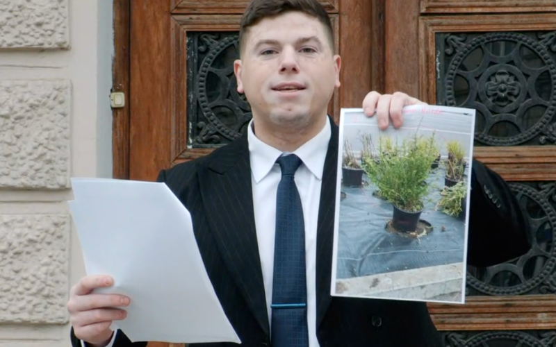 Scandal la achizițiile pentru înverzirea Chișinăului? Un consilier PAS reclamă posibile supraevaluări de aproape 900.000 de lei